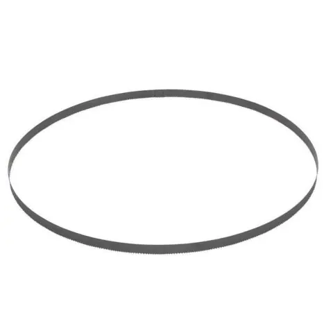 Endast idag HiKOKI 4102081 Bandsågblad